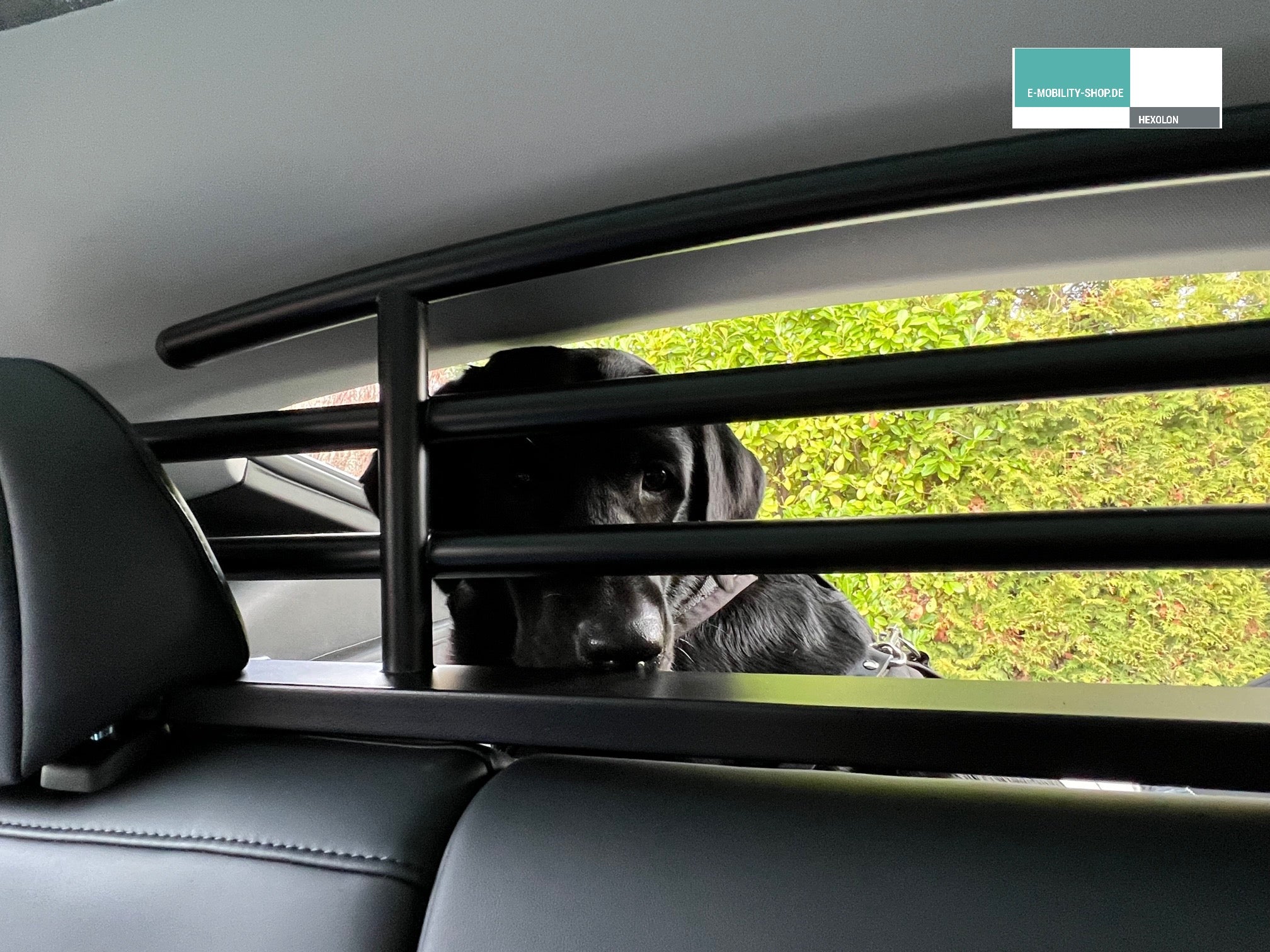 Tesla Model Y Hundegitter - Gepäckraum-Abtrennung – E-Mobility Shop