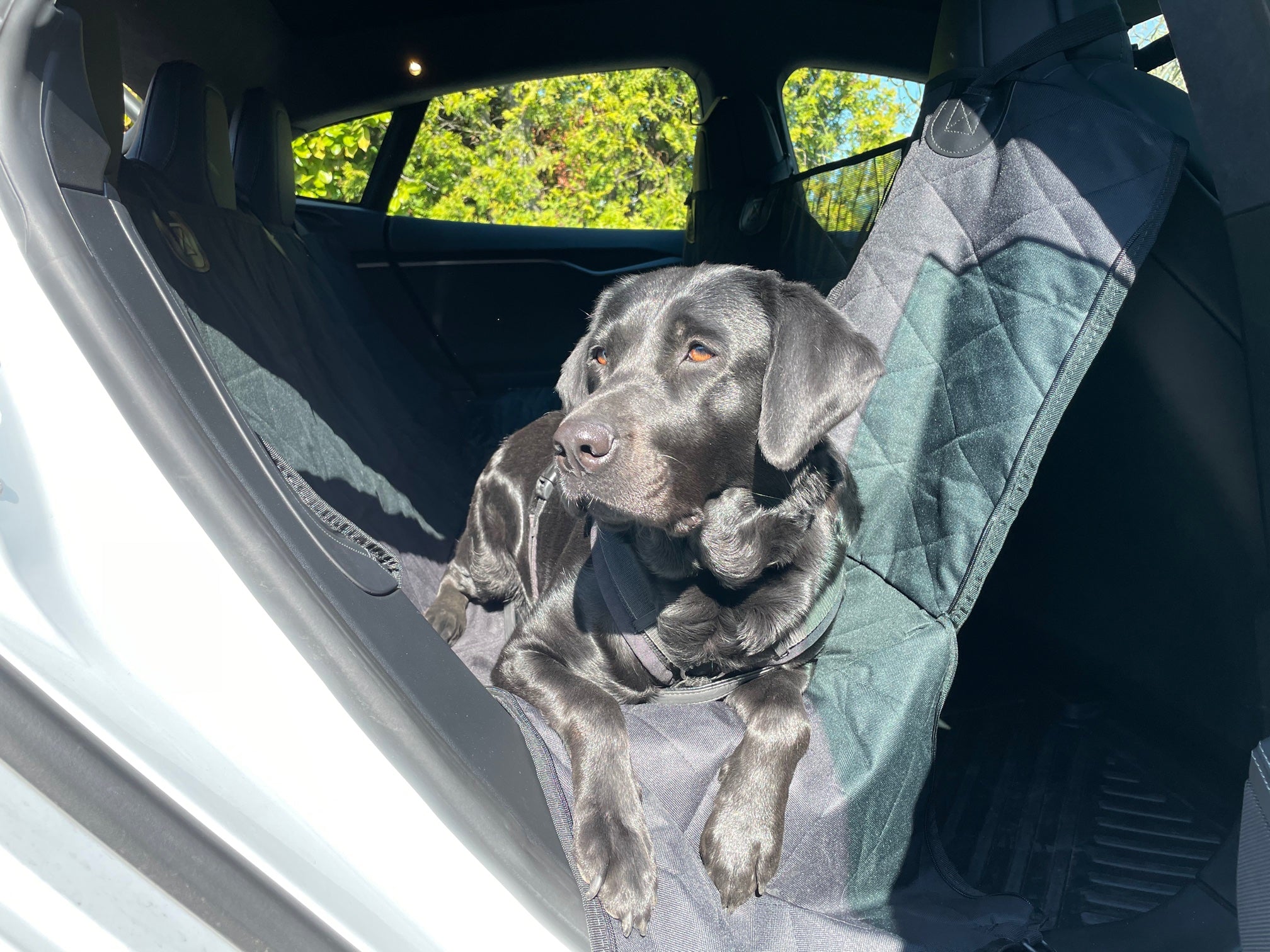Tesla Model 3 Zubehör: Schutz für die Rückbank, Hundedecke